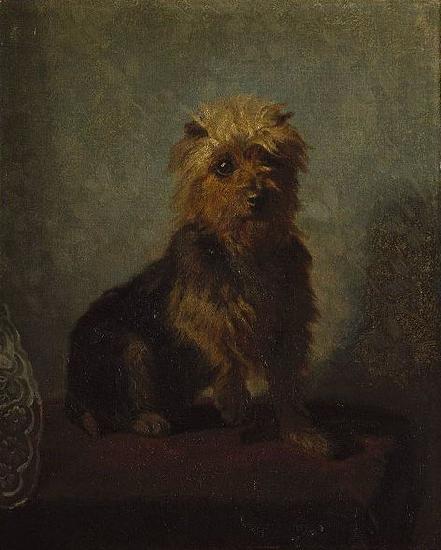 Abbott Handerson Thayer Chadwick's Dog oil painting image